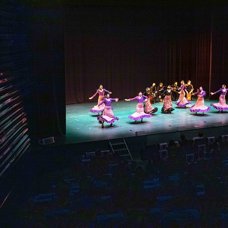 DIA INTERNACIONAL DE LA DANZA DE CARTAGENA GALA PROFESIONAL EL BATEL