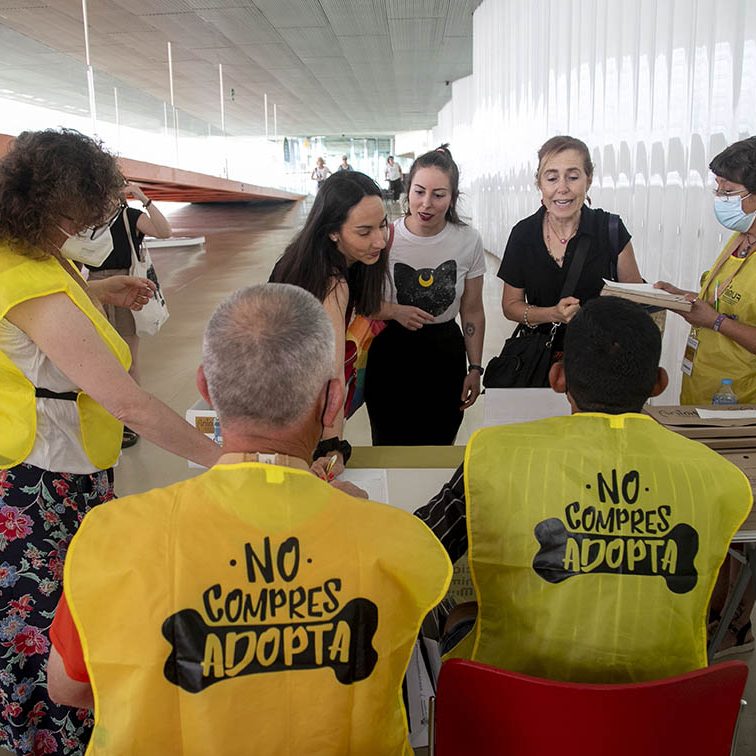 ANIMUR MÉTODO CER FORMACION GESTORES COLONIAS FELINAS EL BATEL CARTAGENA