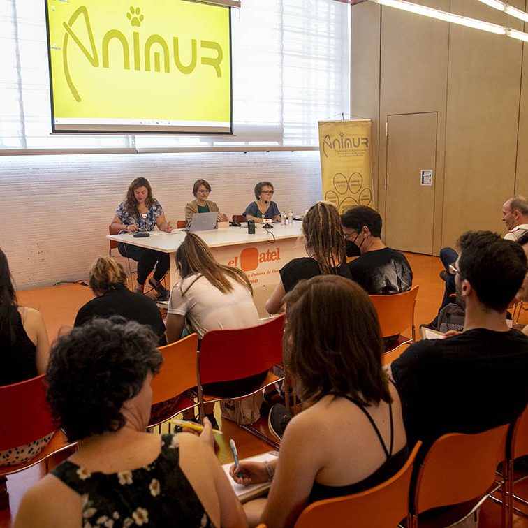 ANIMUR MÉTODO CER FORMACION GESTORES COLONIAS FELINAS EL BATEL CARTAGENA