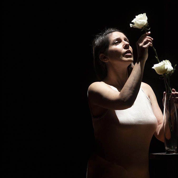 ROSAS BLANCAS EL BATEL CARTAGENA