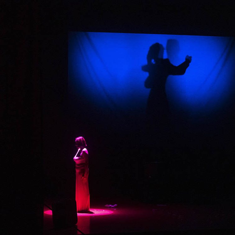 ROSAS BLANCAS EL BATEL CARTAGENA