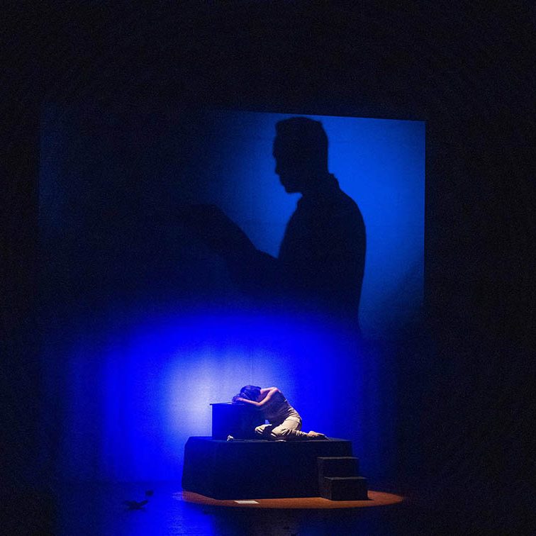 ROSAS BLANCAS EL BATEL CARTAGENA