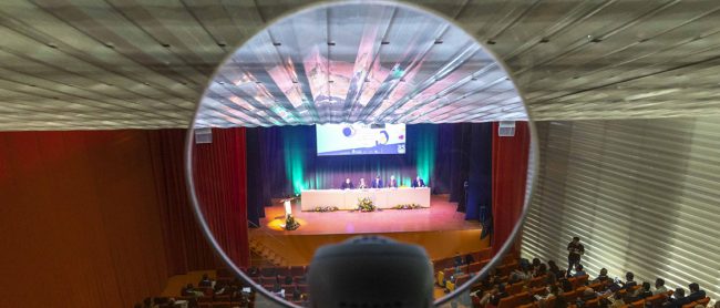 MICE ORNITORROLOGÍA CABECERA ENTRADA WEB EL BATEL CARTAGENA